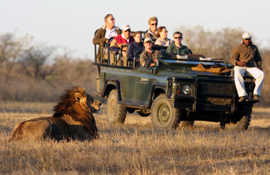 Our focus is on providing you with the best game viewing possible. 